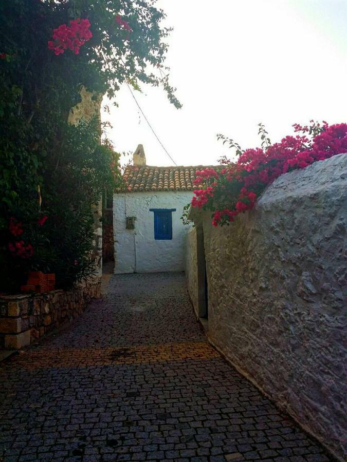 The Old Traditional Hause Villa Leonidio Exterior photo